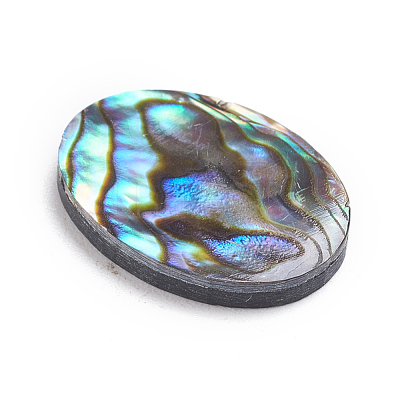 Natural Abalone Shell/Paua Shell Cabochons X-SSHEL-L017-003-1