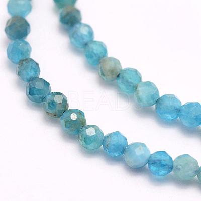 Natural Apatite Beads Strands G-F509-17-4mm-1