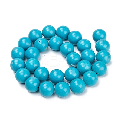 Natural Howlite Beads Strands G-C180-15C-1