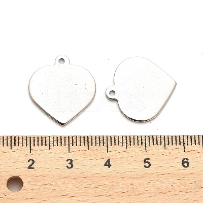 Non-Tarnish Stainless Steel Pendants STAS-L276-01P-05-1