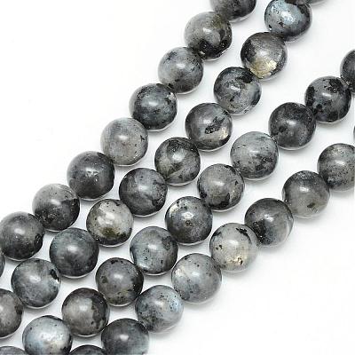 Natural Larvikite Beads Strands G-R345-4mm-33-1