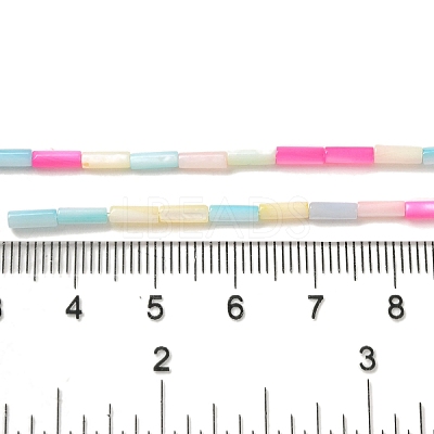 Rainbow Color Dyed Natural Freshwater Shell Beads Strands X1-SHEL-G018-02A-1