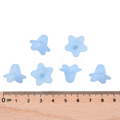Transparent Acrylic Beads PLF018-06-1