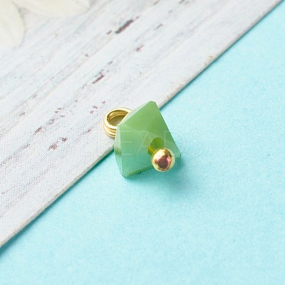 Electroplate Glass Charms PALLOY-JF00821-04-1