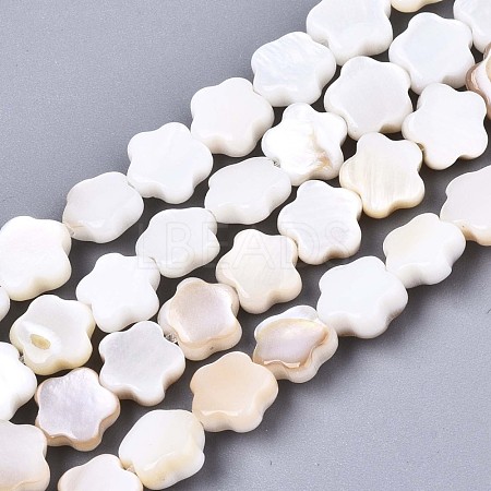 Natural Freshwater Shell Beads Strands X-SHEL-N027-02-1