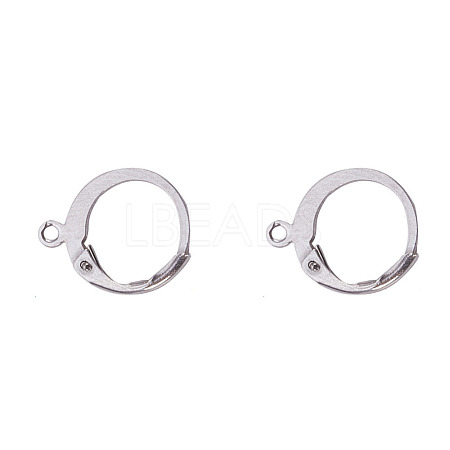 Tarnish Resistant 316L Surgical Stainless Steel Leverback Earring Findings STAS-F075-38P-1
