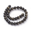 Natural Golden Sheen Obsidian Beads Strands X-G-C076-6mm-5-2