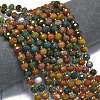 Natural Ocean Jasper Beads Strands G-K389-E10-01-2