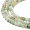 Natural Serpentine Beads Strands G-G161-D24-01-4