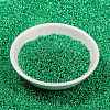 MIYUKI Round Rocailles Beads X-SEED-G009-RR0646-2