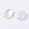Shell Cabochons G-L470-15-2