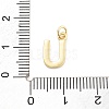 Rack Plating Brass Pendants KK-C065-02U-G-3