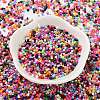 Baking Paint Glass Seed Beads SEED-S042-05B-48-2