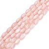 Natural Freshwater Shell Beads Strands SHEL-C010-01F-1