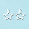 304 Stainless Steel Charms STAS-L234-095S-3