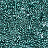 FGB 11/0 Grade A Glass Seed Beads SEED-S030-1216-2