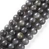 Natural Black Labradorite Beads Strands X-G-S333-6mm-021B-1