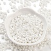 Baking Paint Glass Seed Beads SEED-A032-02D-2
