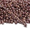 TOHO 6/0 Round Beads X-SEED-TR06-1203-2
