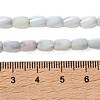 Ombre Effect Dyed Glass Beads Strands GLAA-I059-01H-4