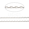 Rhodium Plated 925 Sterling Silver Paperclip Chains STER-F052-08P-2