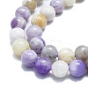 Natural Purple Opal Beads Strands G-K245-A07-D04-3