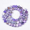 Freshwater Shell Beads Strands SHEL-N026-08D-2