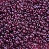 TOHO Round Beads X-SEED-TR11-0332F-1