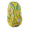 Light Gradient Segment Dyed Polyester Yarn DIY-TADJ0002-005A-2