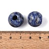 Natural Blue Spot Jasper European Beads G-Q602-09C-07-3