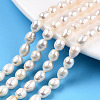 Natural Cultured Freshwater Pearl Beads Strands PEAR-N012-05K-1