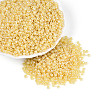 8/0 Ceylon Round Glass Seed Beads X-SEED-A011-3mm-142-4