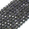 Natural Larvikite Beads Strands G-K389-A31-01-1