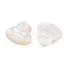 Natural White Shell Carved Cabochons SSHEL-B006-04-3