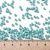 TOHO 8/0 Round Beads SEED-XTR08-0413F-4