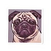 50Pcs 50 Styles Paper Pug Dog Cartoon Stickers Sets STIC-P004-23D-3