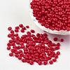 Opaque Glass Seed Beads X-SEED-R032-A07-1