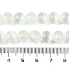 Natural Selenite Beads Strands G-C142-01B-06-5