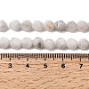 Natural Crazy Agate Beads Strands G-Z119-A12-01-5