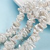 Natural Baroque Pearl Keshi Pearl Beads Strands PEAR-S012-67-1
