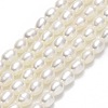 Natural Cultured Freshwater Pearl Beads Strands PEAR-J006-03A-1