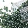 TOHO Round Seed Beads SEED-XTR08-0119-1