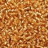 TOHO 8/0 Round Beads X-SEED-TR08-0022B-2