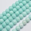 Natural Malaysia Jade Beads Strands G-A146-10mm-B07-1