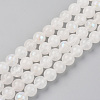 Electroplated Natural White Moonstone Beads Strands G-S369-012C-C-1