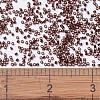 MIYUKI Delica Beads X-SEED-J020-DB1202-4