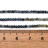 Gradient Color Natural Sapphire Beads Strands G-F803-A01-01A-6