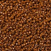 MIYUKI Delica Beads SEED-MY11-DB2109-3