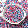 Baking Paint Glass Seed Beads SEED-P006-03A-12-2