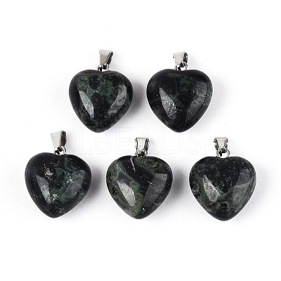 Natural Kambaba Jasper Pendants G-T143-49B-1